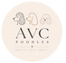 Avcpoodles
