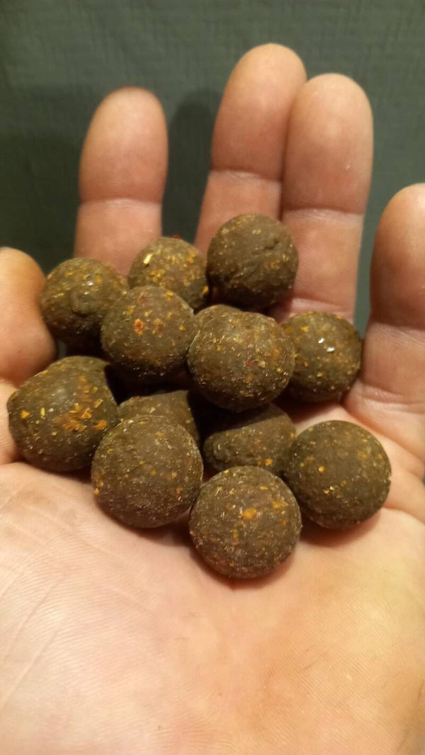 Spicy Squid & Krill 15mm & 20mm