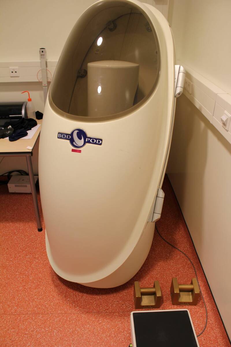 Bodpod
