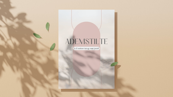 Ademstilte - in 8 weken jezelf hervinden