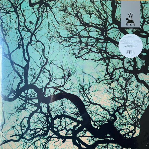 Föllakzoid - Föllakzoid (Groen)