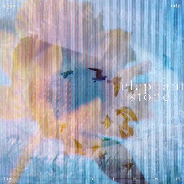 Elephant Stone - Back into the Dream (Clear)