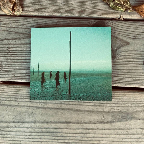 Devil's Witches - In All Her Forms