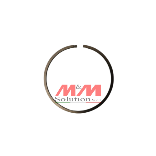 Piston Ring 4207128