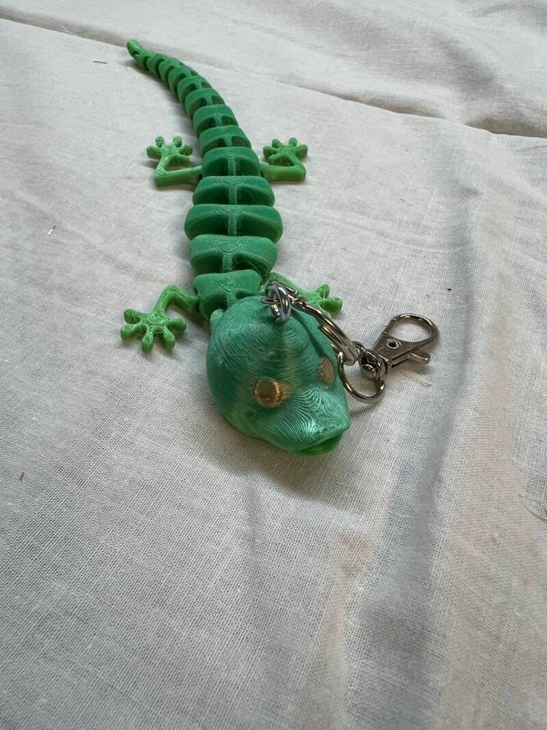 3D Duck Lizzard