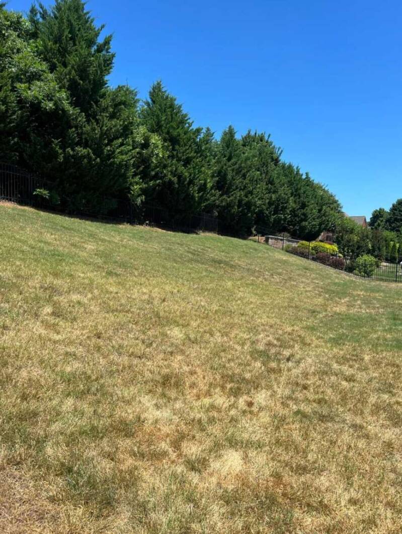 Before Retaining Wall