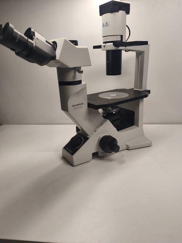 microscope inversé Olympus CKX41 avec contraste de phase.