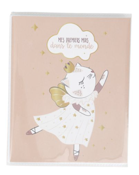 Album photo 'chat' rose