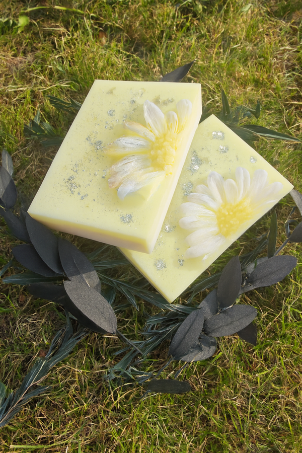 Daisy Glow Wax Melts – Floral Charm with a Sparkling Touch