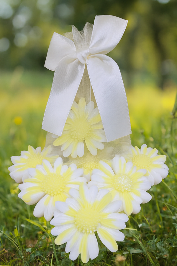 Daisy Dreams Wax Melts – Fresh, Floral, and Joyfully Handmade