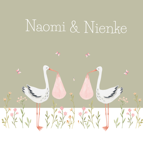 Kleintje ooievaars meisjes