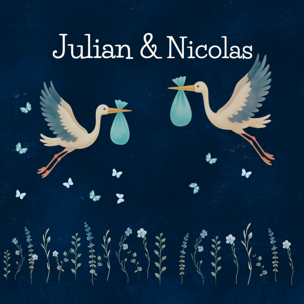 Kleintje tweeling jongens