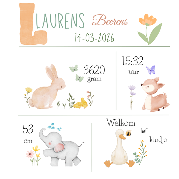 Kleintje geboorte gegevens