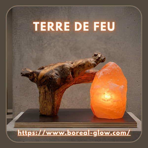 TERRE DE FEU