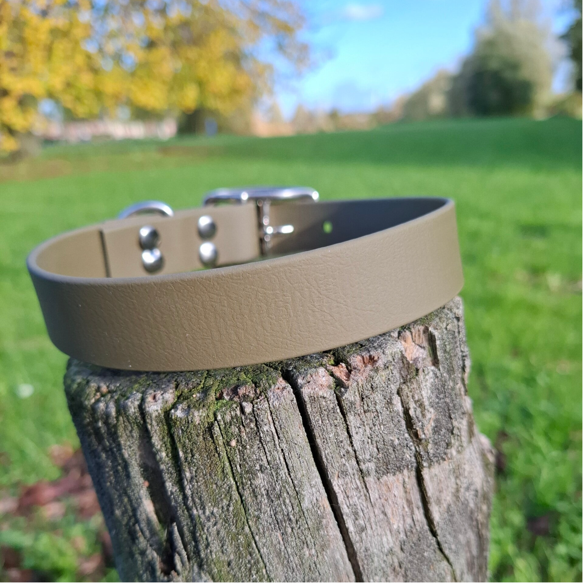 biothane halsband (basic)