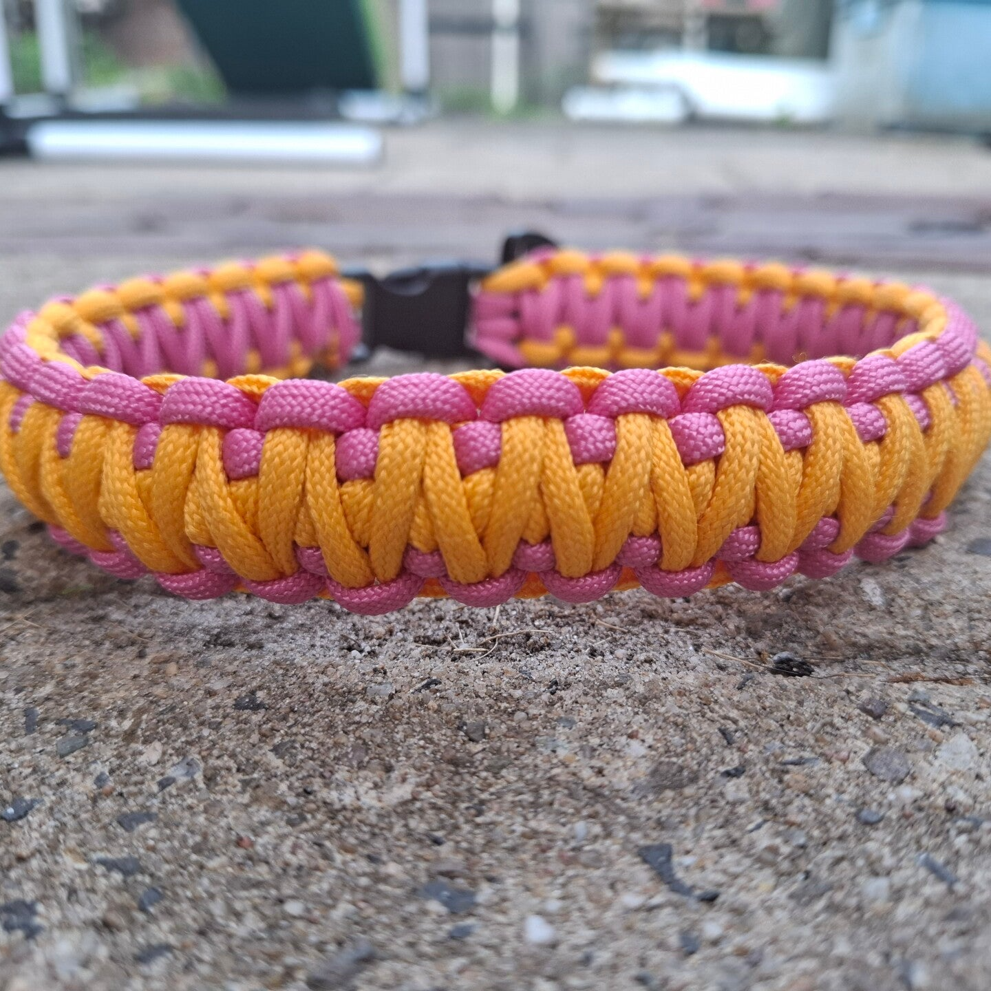 "king cobra" halsband