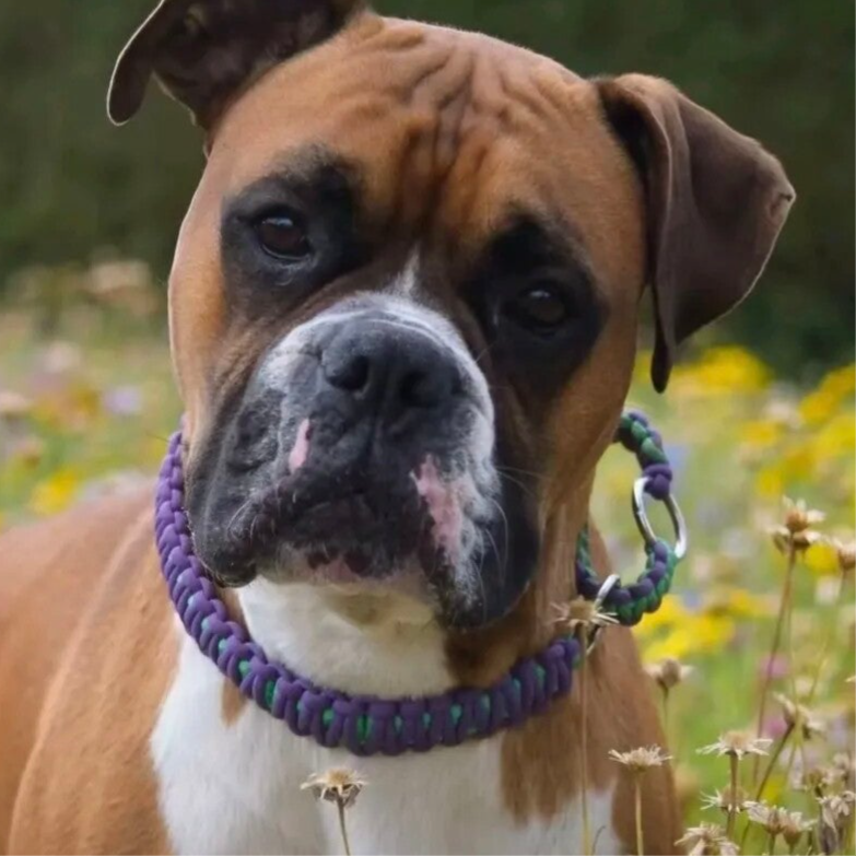 sliphalsband met stop