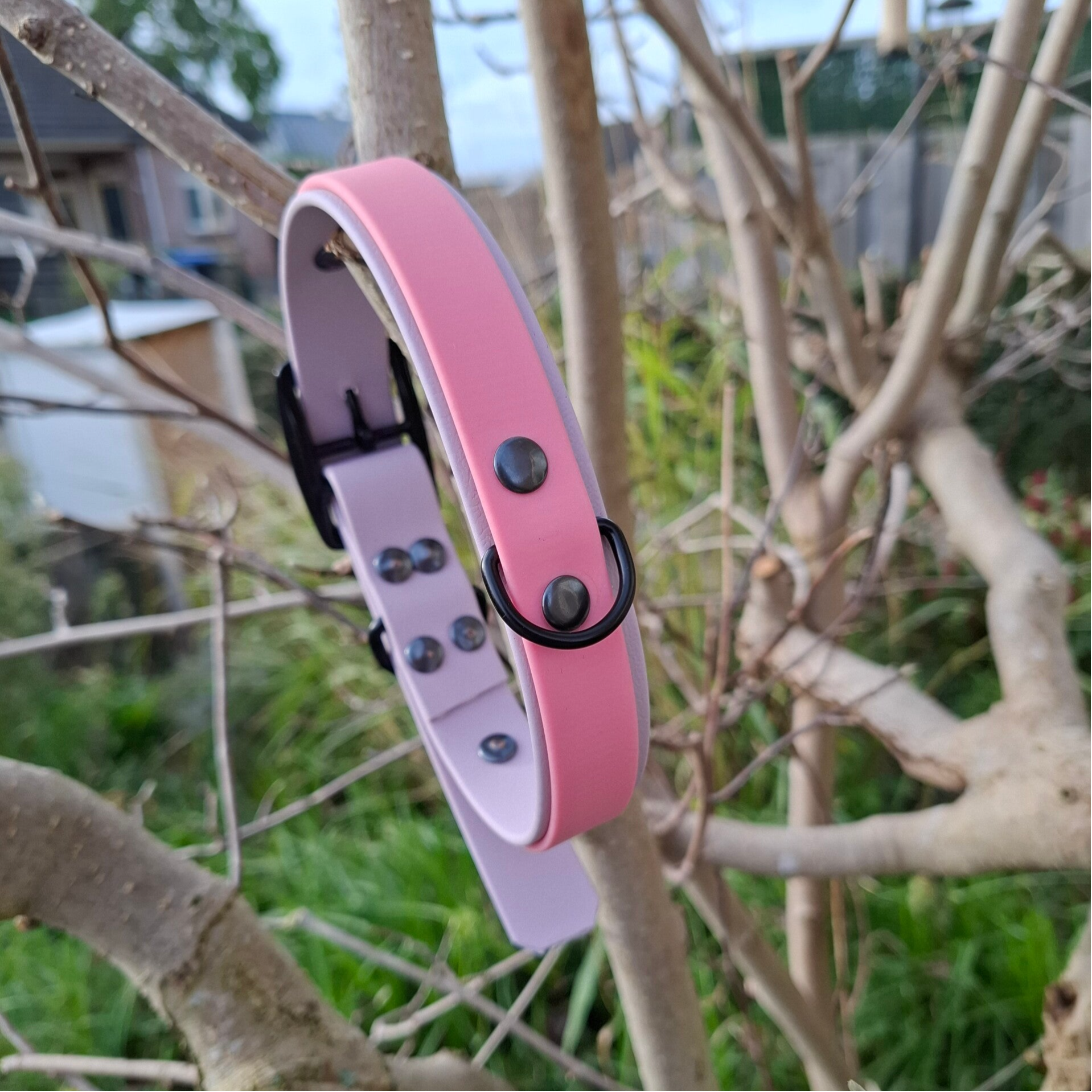 biothane halsband (tag)