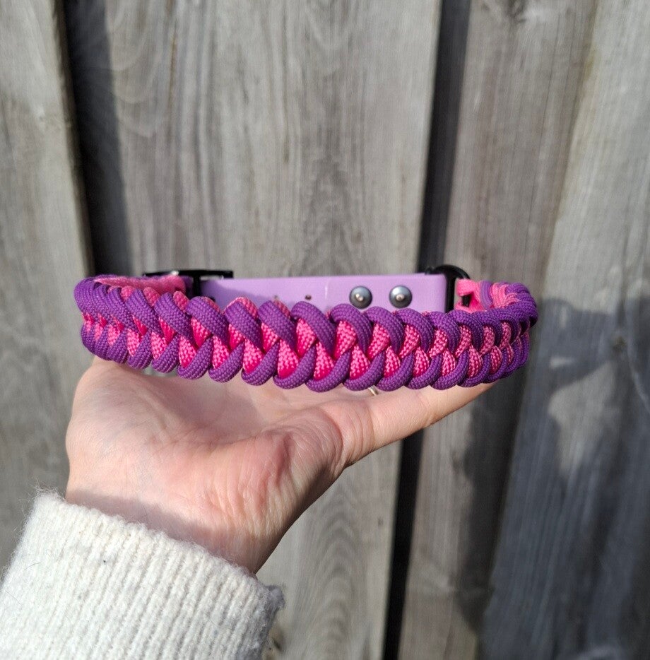 "shark jaw" halsband