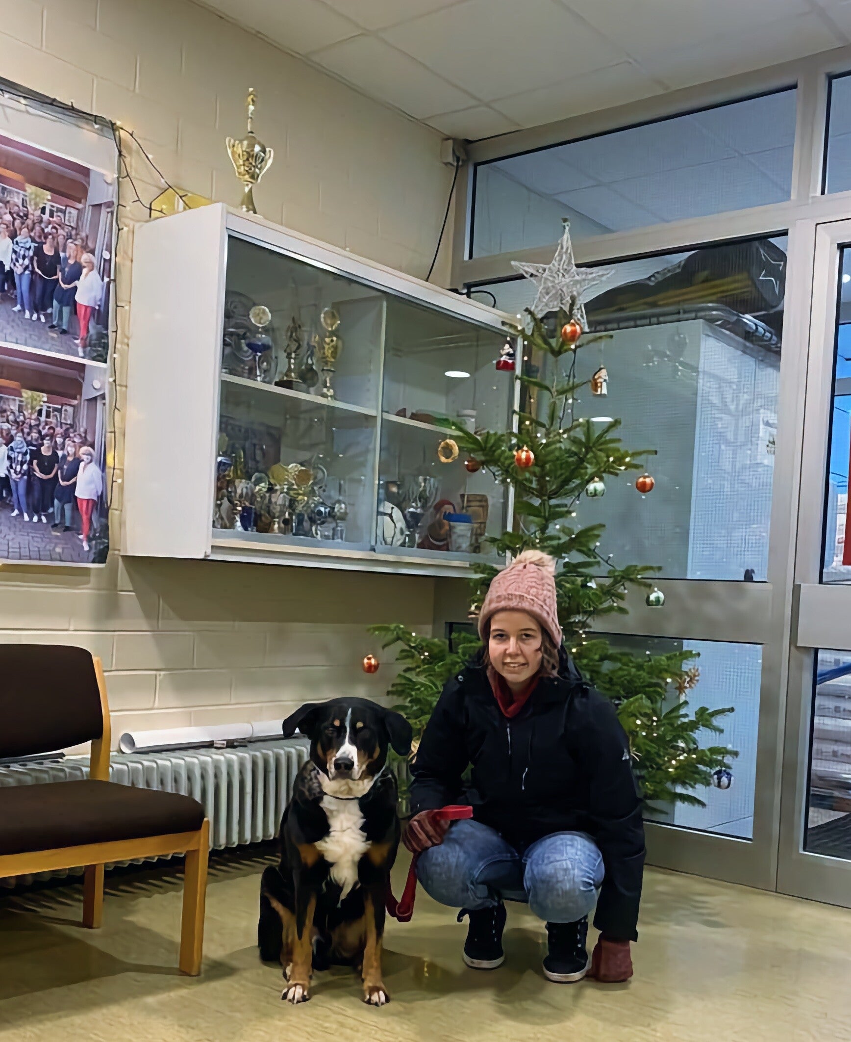 Tiergest tzte P dagogik Schwerpunkte Unsere Schule Hilda tiergest-tzte-p-dagogik-schwerpunkte-unsere-schule-hilda