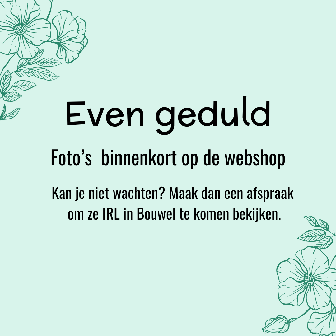 geschenkbox mix&match (C&J) - oorringen met emaillen bedeltjes - SEA uitgebreide editie (pastel) (emaille-zilver)