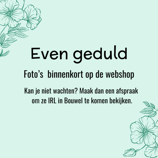 Mix&match roestvrijstalen bedeltje: M smalle vis versie A per stuk (goudkleur)