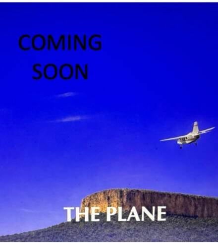 the-plane-cover-for-website-last-2-standard-mtllfr.jpg