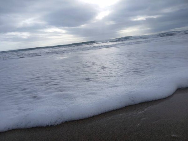 Ocean