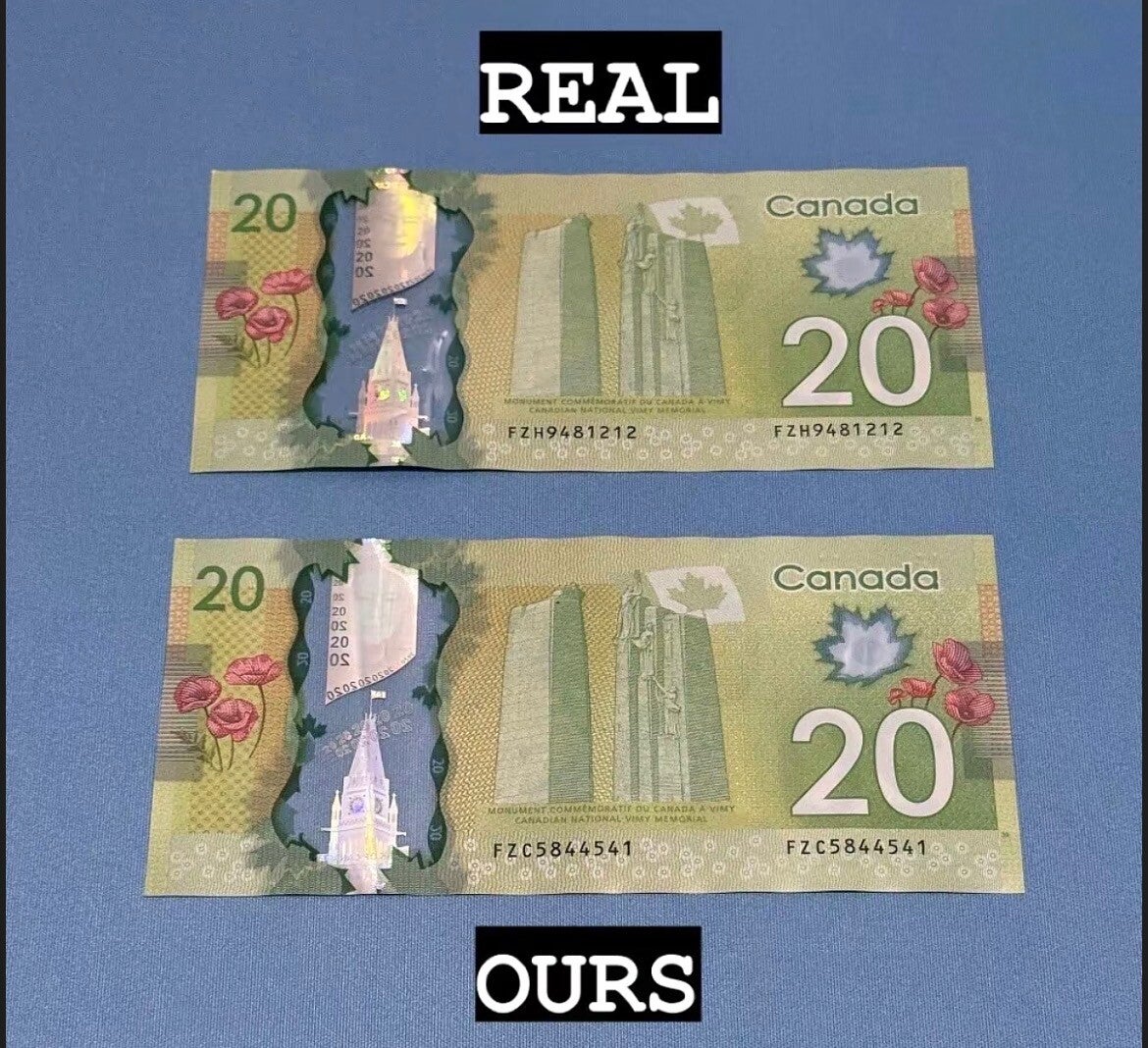 20 dollar Canadian bill