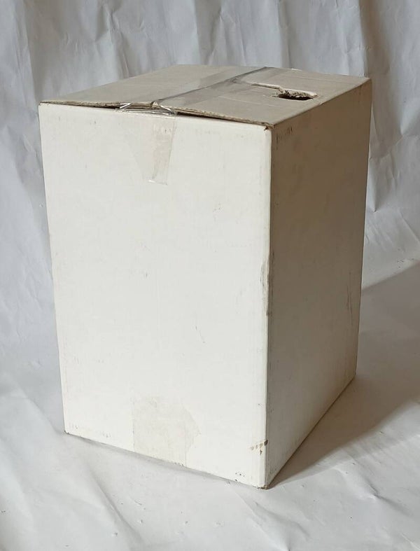 Bag in Box Sciroppo  Té alla PESCA 10 litri.