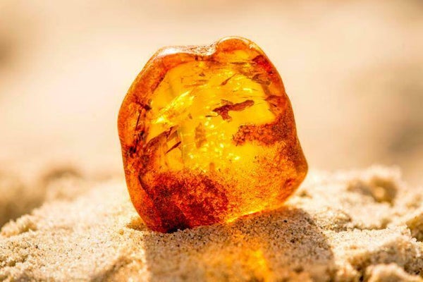 Fondants parfumés Ambre