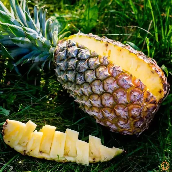 Fondants parfumés Ananas