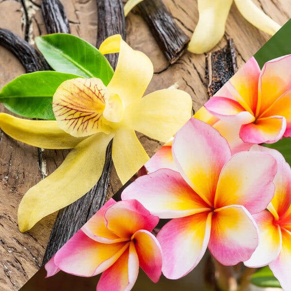 Fondants parfumés Monoï vanille