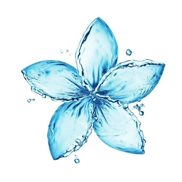Fondants parfumés Fleur d'eau