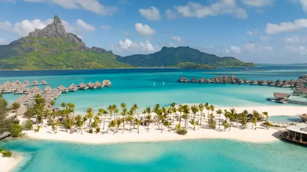 Fondants parfumés Bora bora