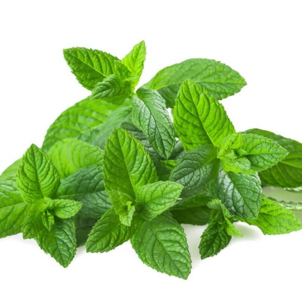 Fondants parfumés Menthe chlorophylle
