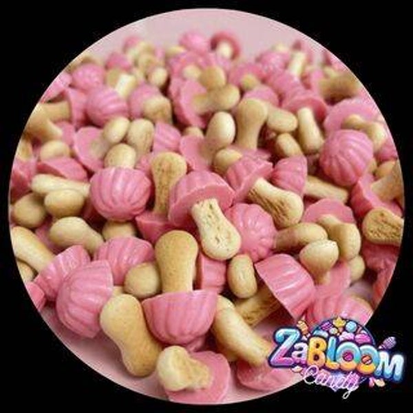 Champignons fraise 100gr