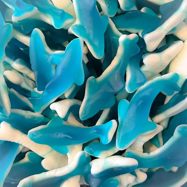 Requin bleu lisse 100gr