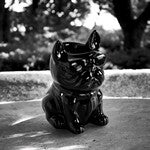 Brûleur bulldog Noir