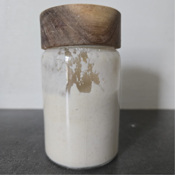 Zuurdesem starter