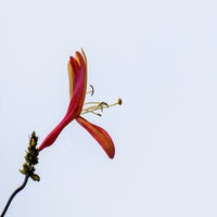 20250803-tuin-5-standard-j0aks6.jpg