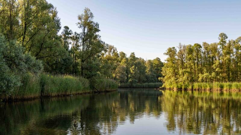 biesbosch-10-2-standard.jpg