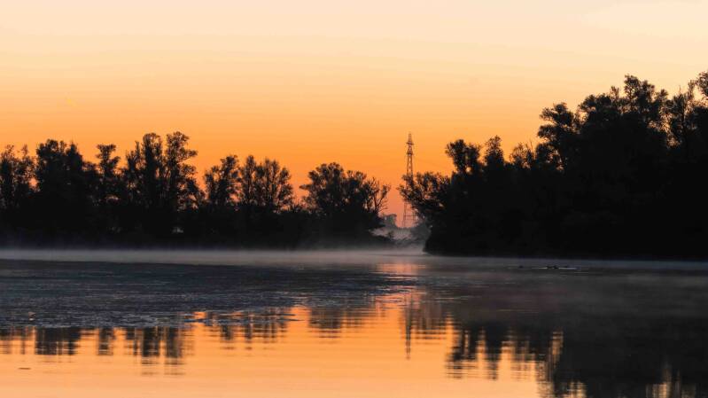 biesbosch-15