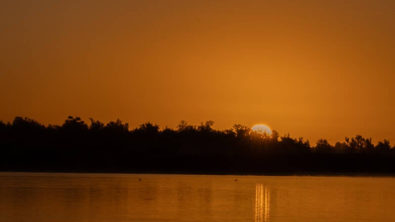 biesbosch-17