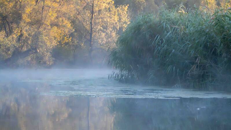 biesbosch-20