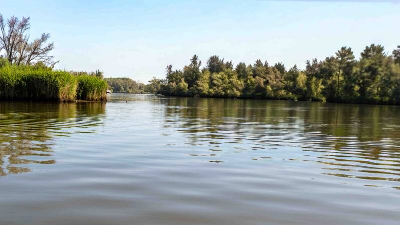 biesbosch-205-standard.jpg