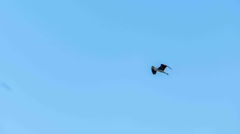 biesbosch-214-standard-wybx9w.jpg