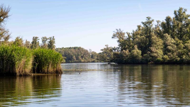 biesbosch-223-standard-u0eh6p.jpg