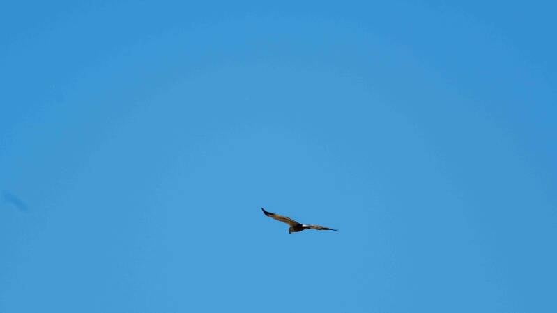 biesbosch-325-standard-z64q41.jpg