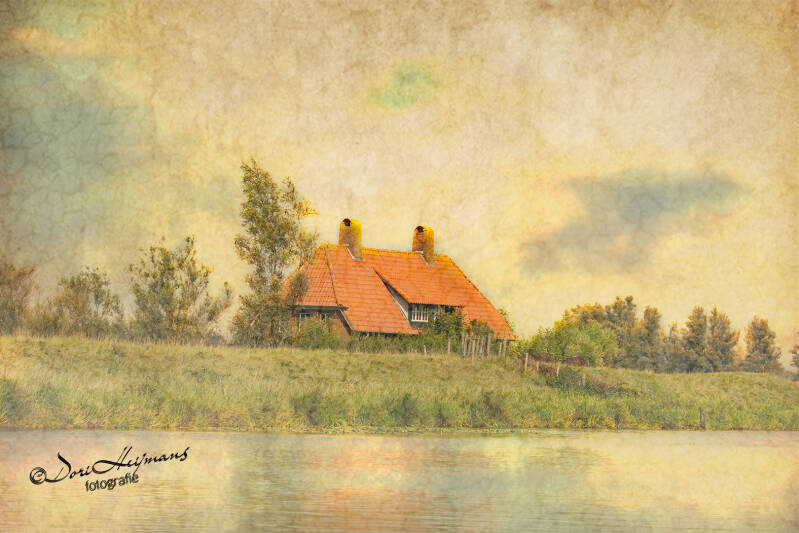 biesbosch